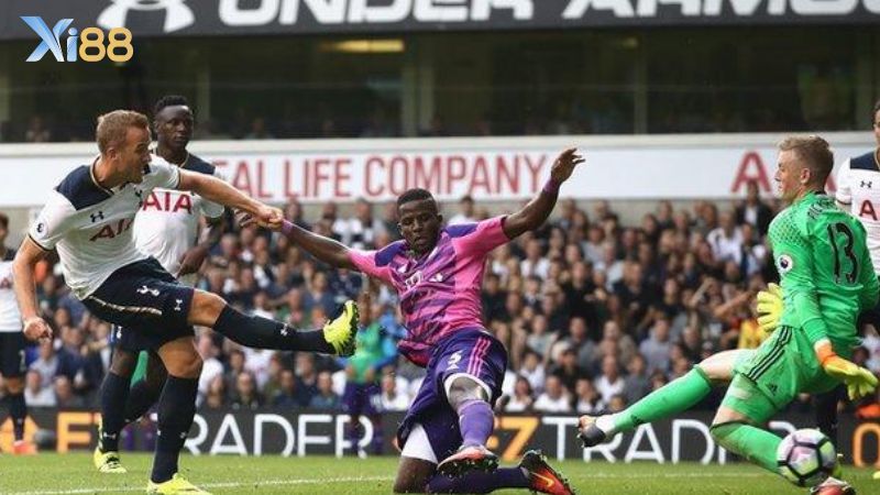 Lịch sử đối đầu Tottenham Hotspur vs Sunderland
